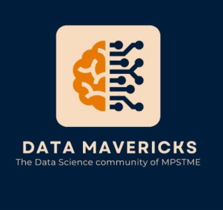 DataMavericks Logo